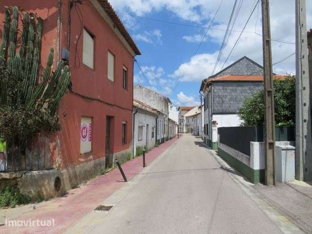 Moradia para restauro Anadia Arcos e Mogofores - Grande imagem: 2/6