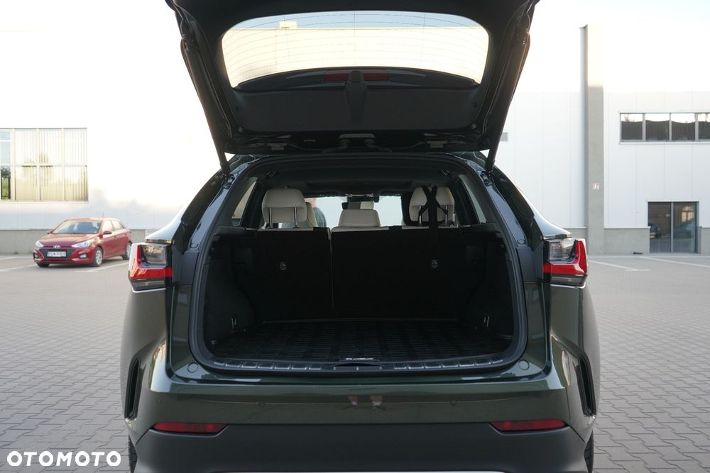 Lexus NX 350h F Sport AWD - 24