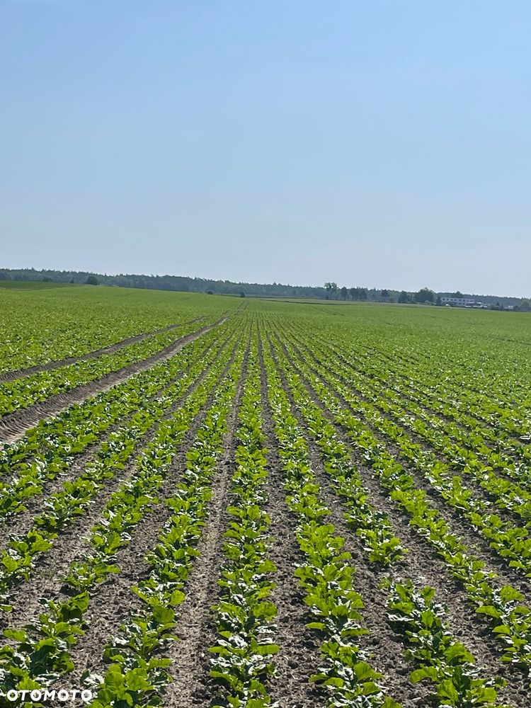 Kverneland Kleine Unicorn 3 Synchro Drive 12 - 11