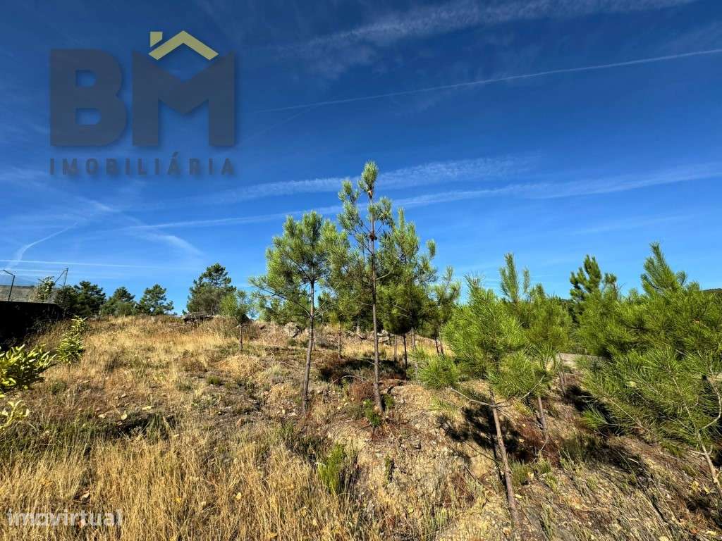 Terreno urbano para construção de moradia em São Vicente da Beira! - Grande imagem: 5/11