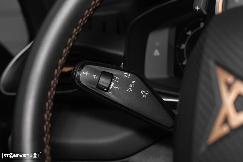 Cupra Terramar - 10