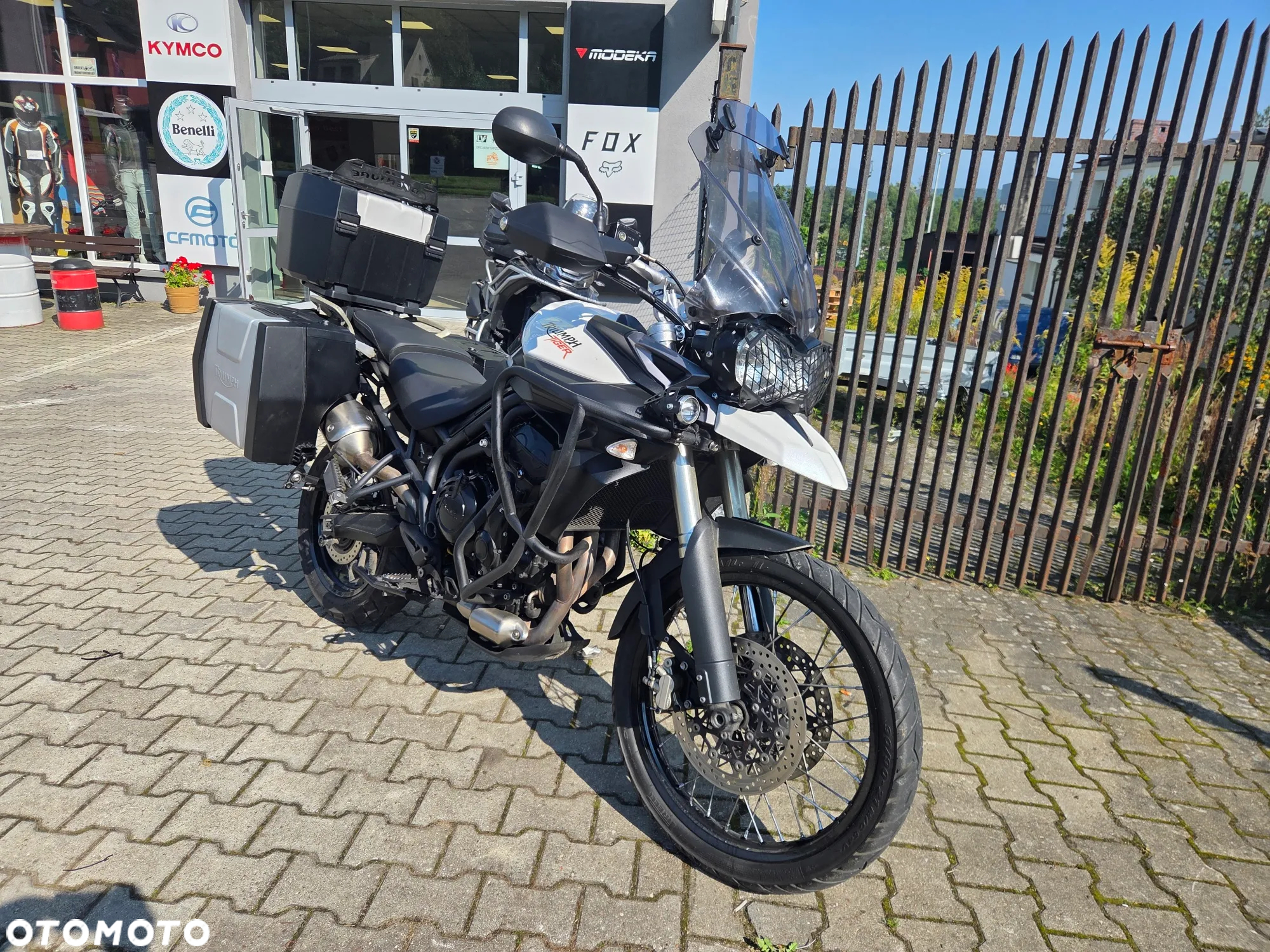 Triumph Tiger - 2