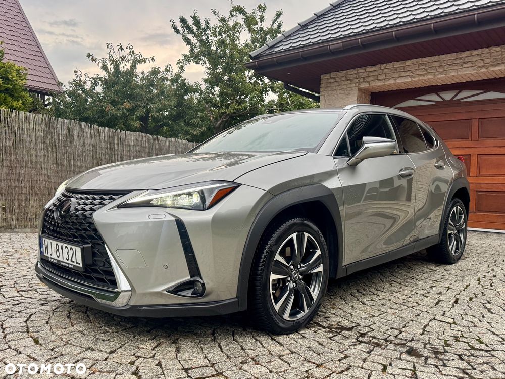 Lexus UX 250h F Sport 2WD - 32