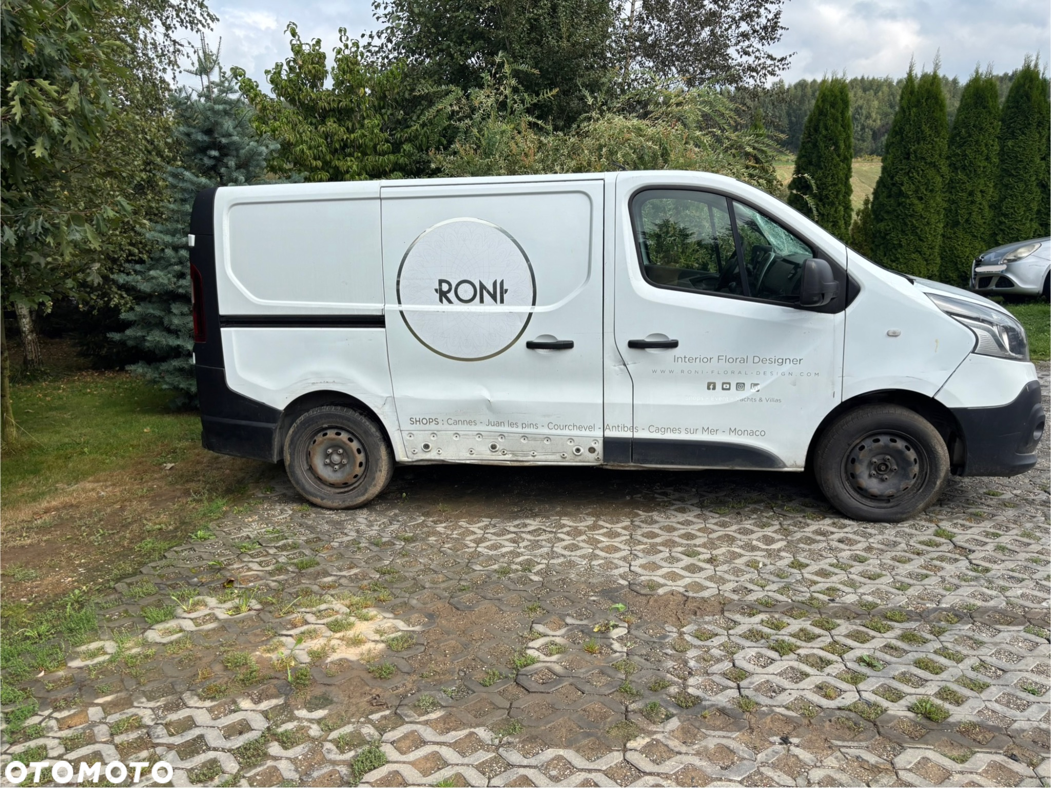 Renault Trafic - 5
