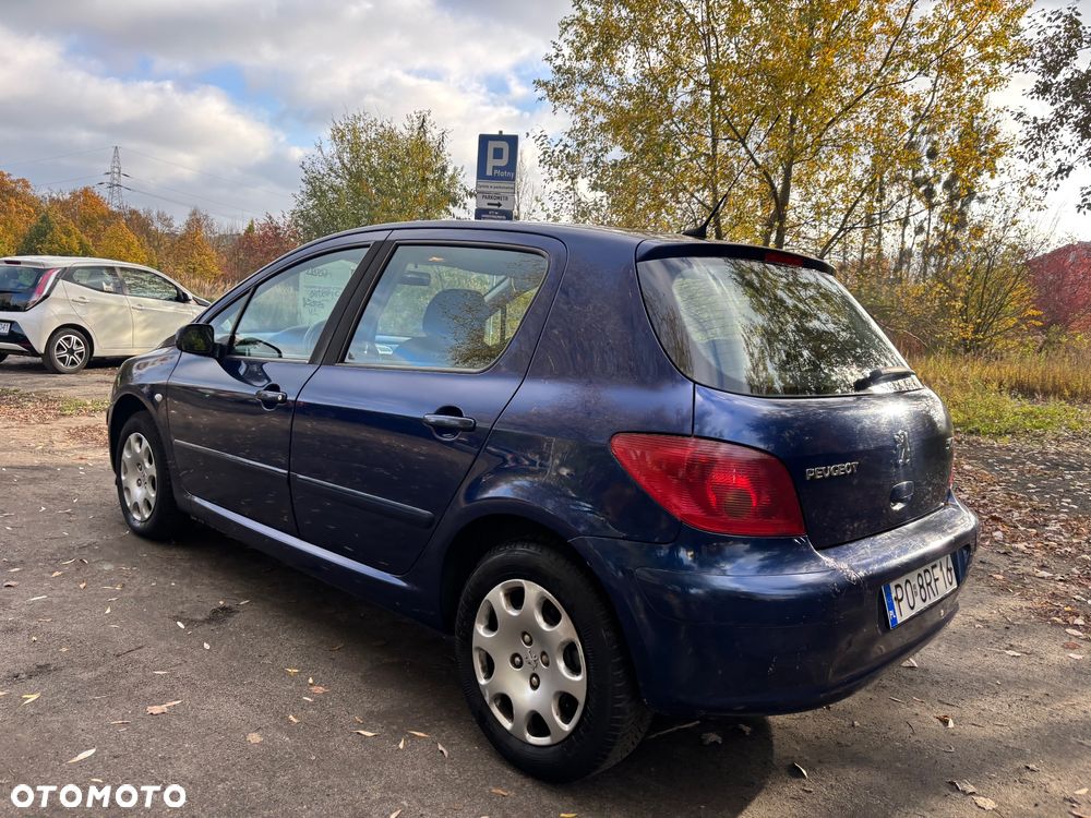 Peugeot 307 - 4
