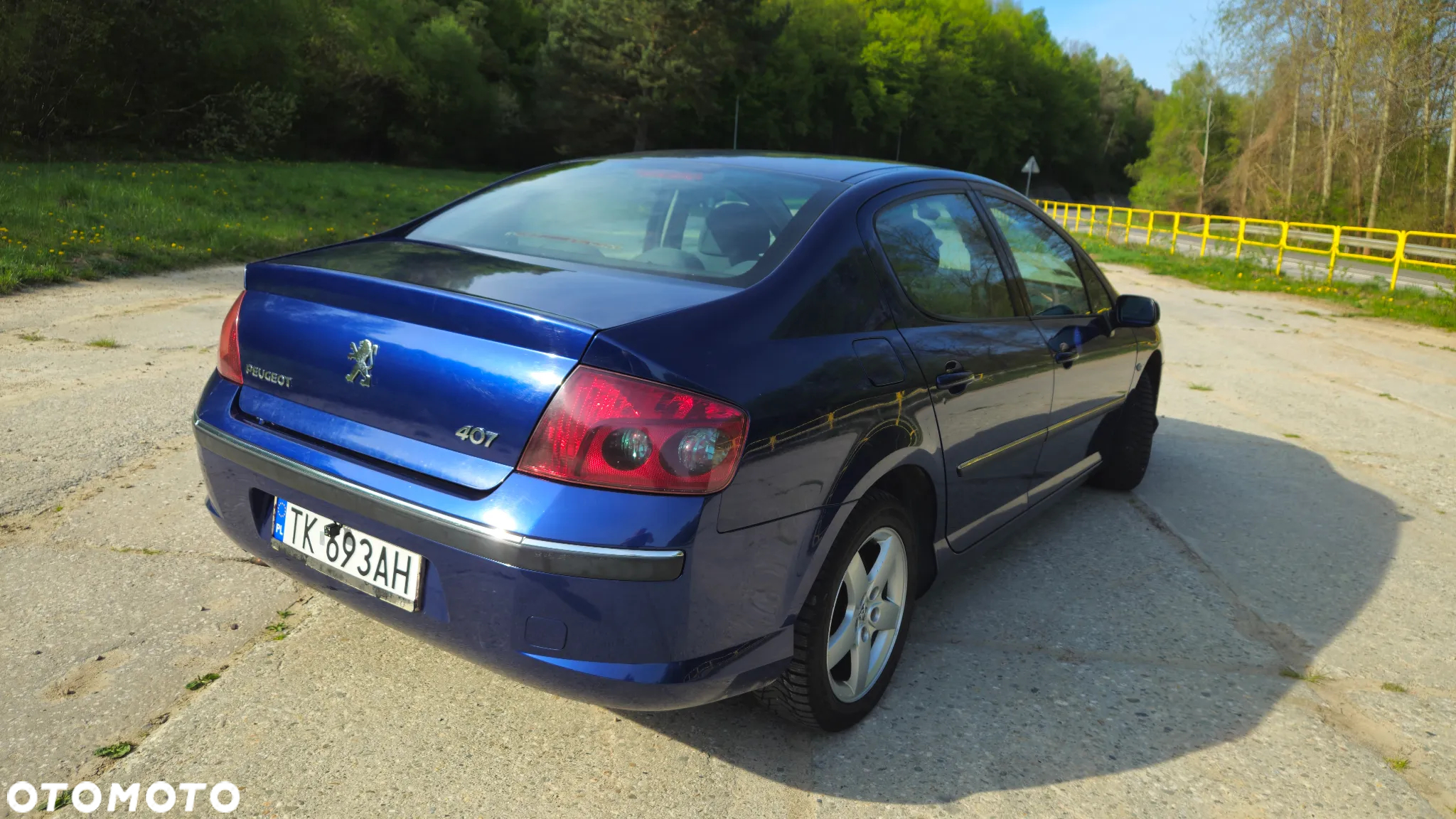 Peugeot 407 2.0 HDI Intense - 22