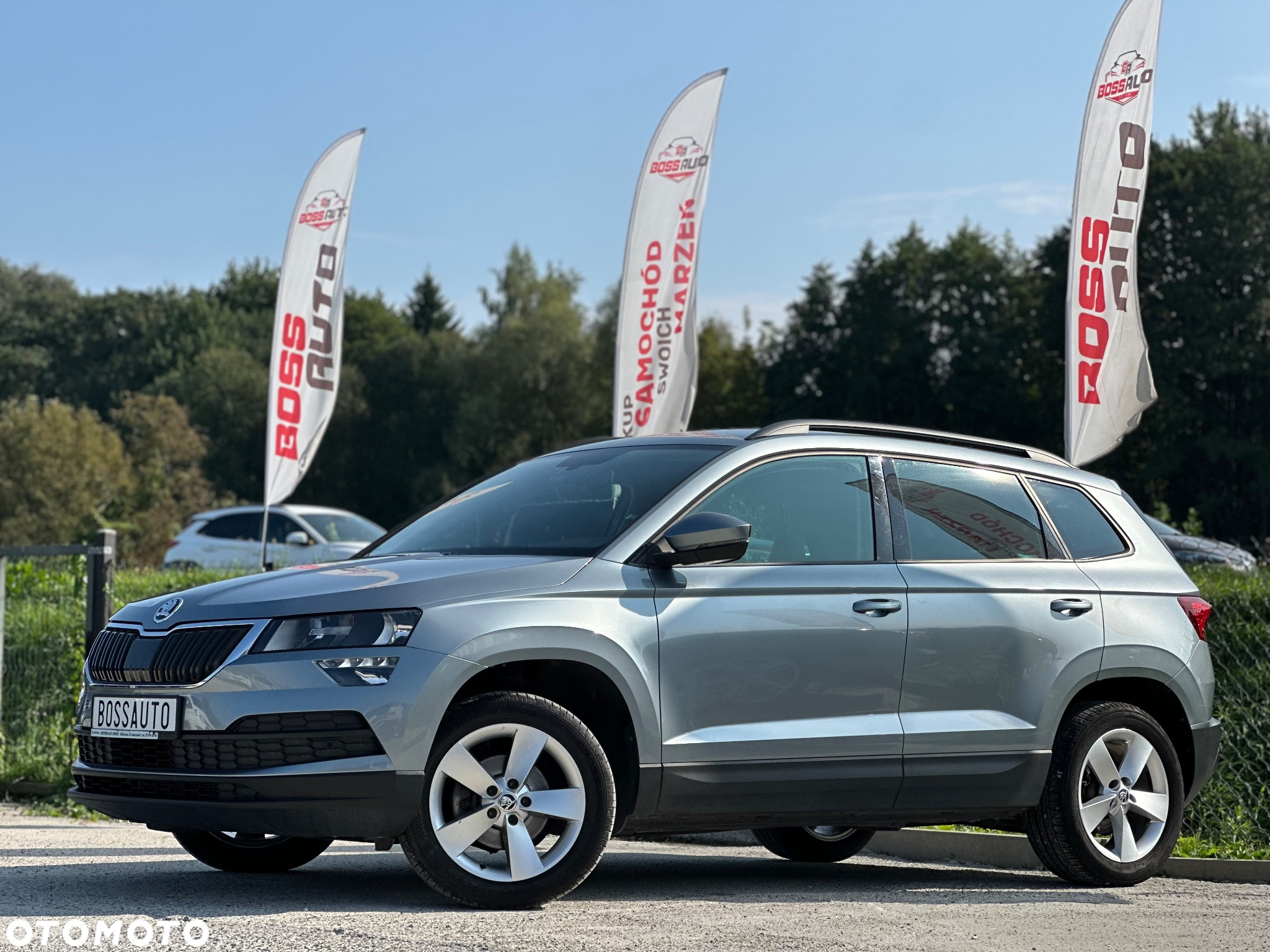 Skoda Karoq 1.6 TDI 4x2 Ambition DSG - 12