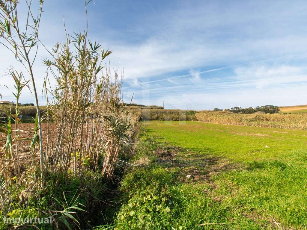 Vende Terreno - Ericeira 13 km, A Casa das Casas - Grande imagem: 2/11