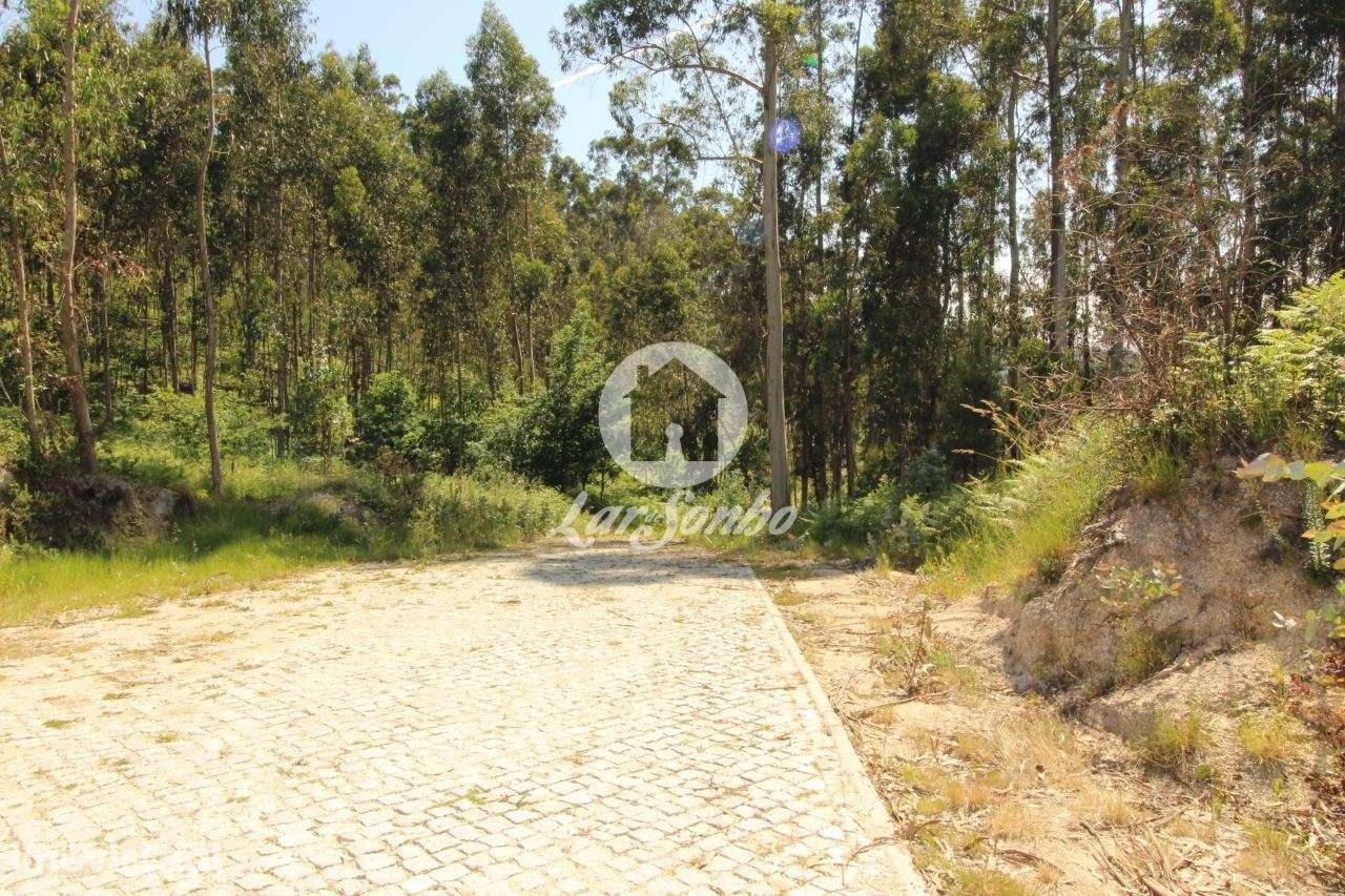 erreno com 5.000 m² em Arões S. Romão  Fafe - Grande imagem: 2/11