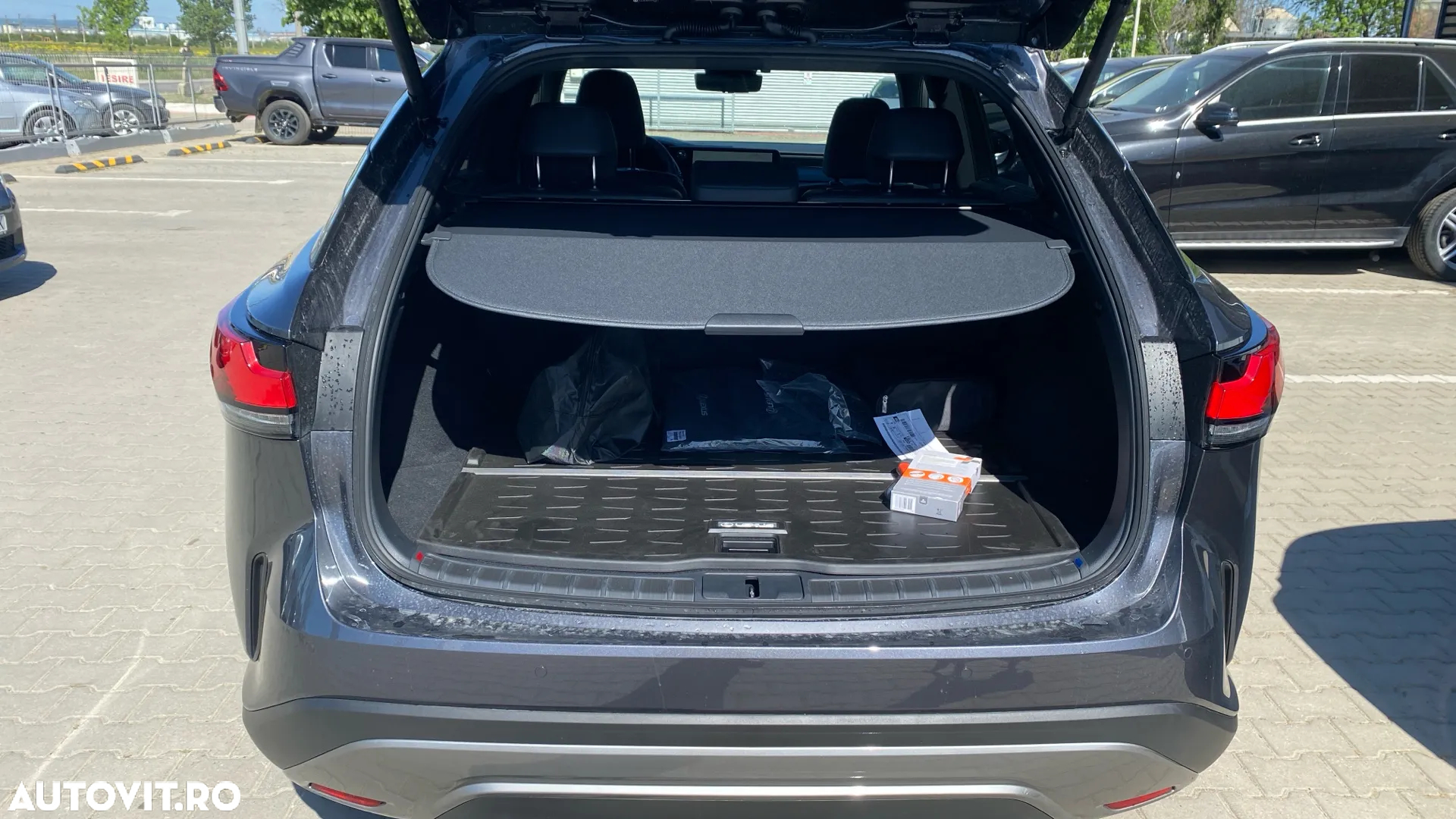 Lexus Seria RX - 10