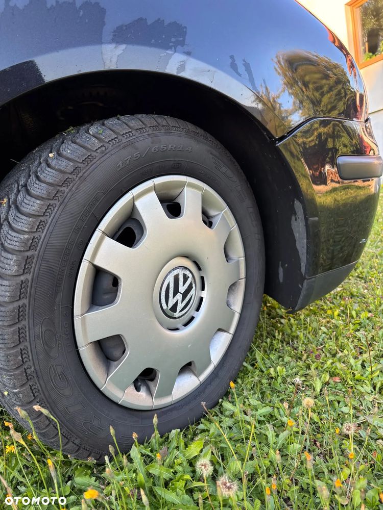 Volkswagen Polo - 7