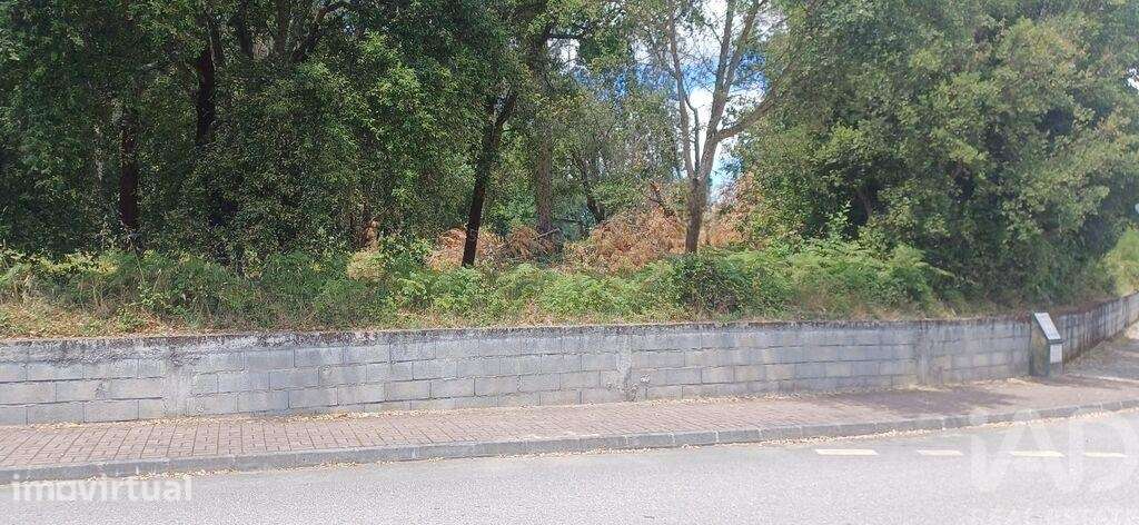 Terreno para construção em Carregal do Sal - Grande imagem: 3/17