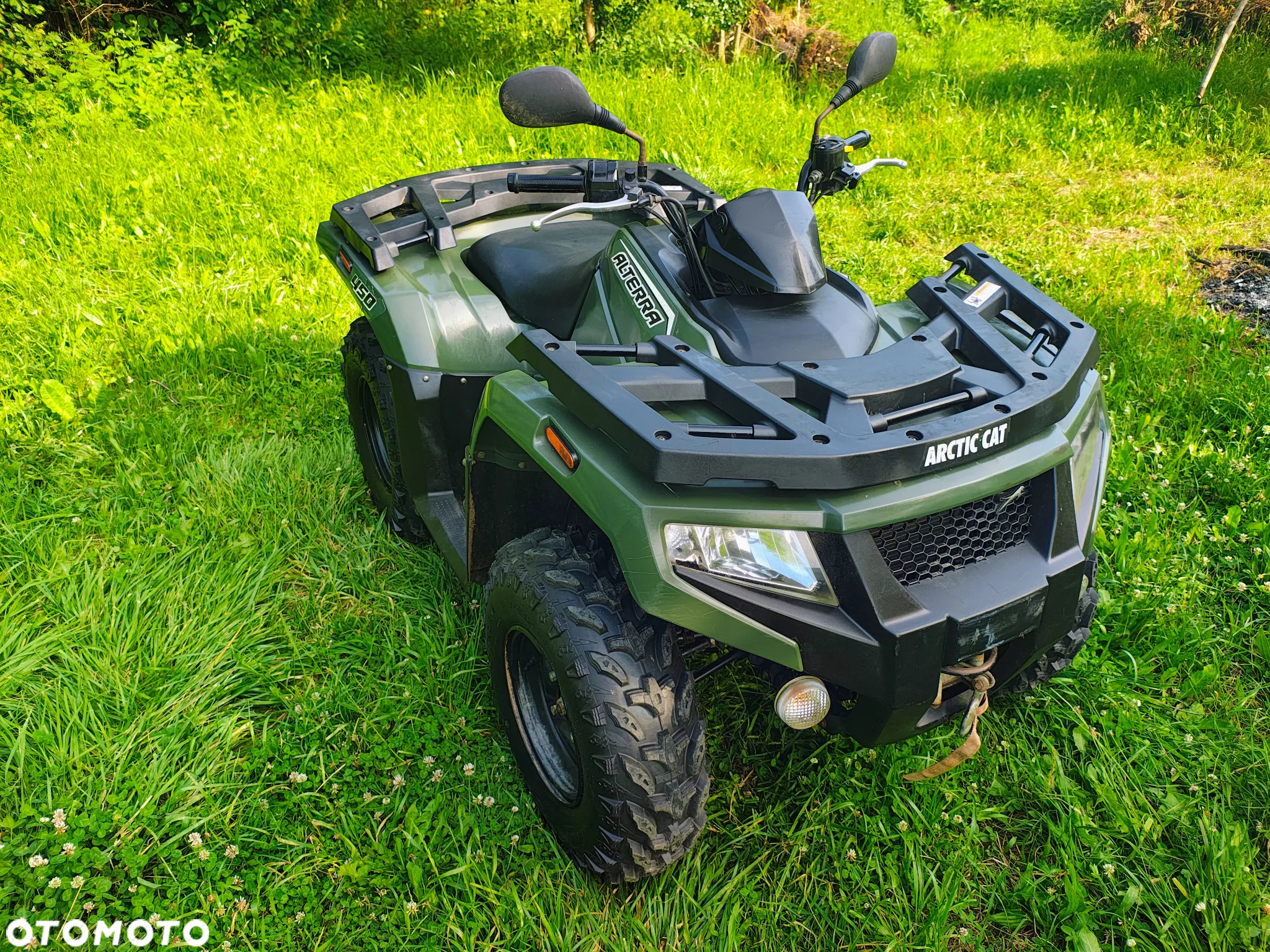 Arctic Cat Inny