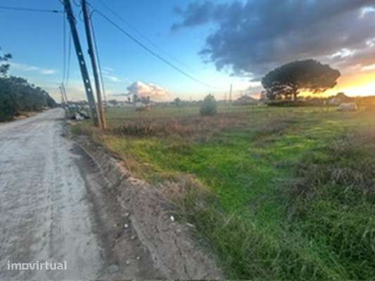 Moradia sita em Pinhal do Povo, Foros de Salvaterra - Grande imagem: 2/24