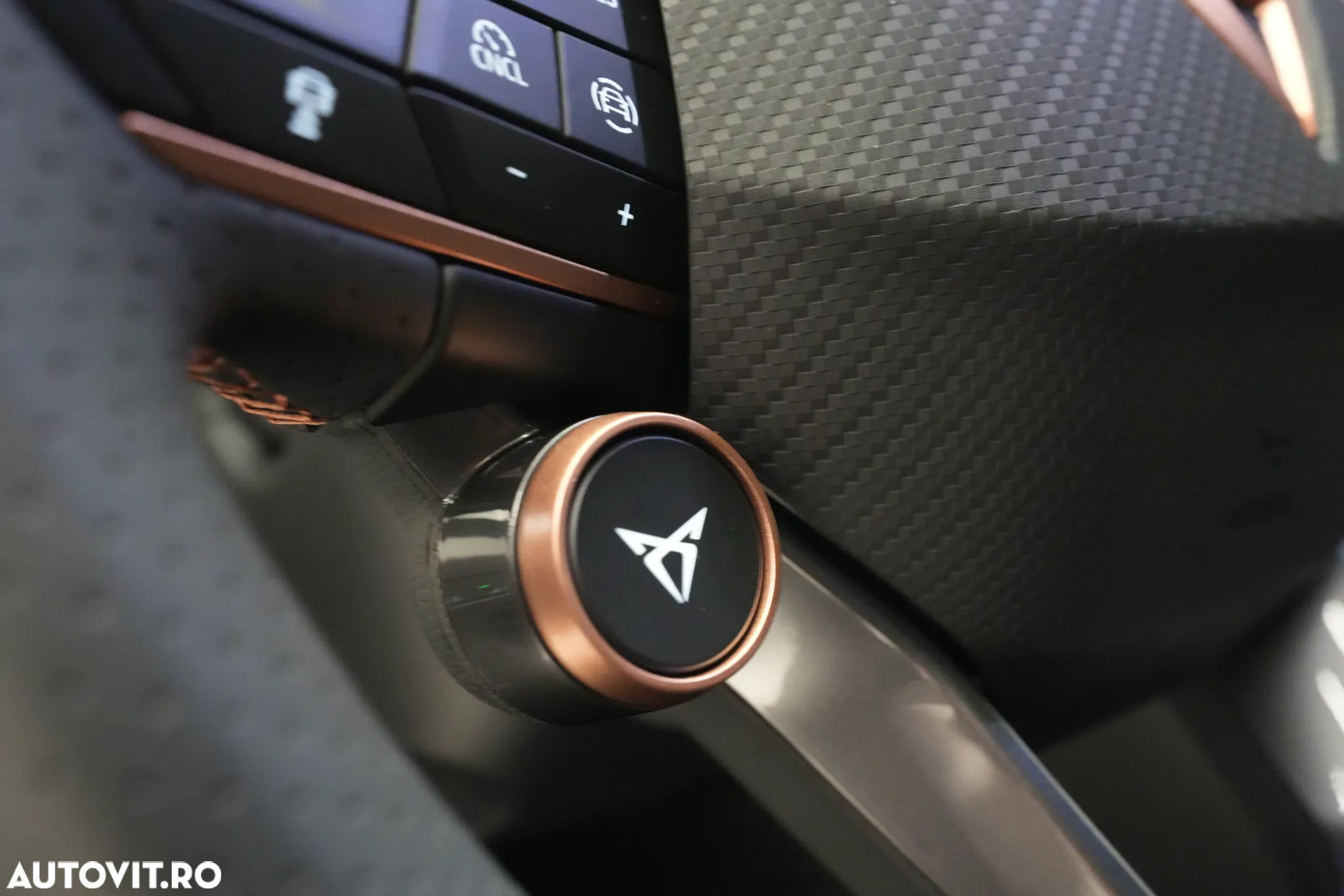 Cupra Terramar - 21