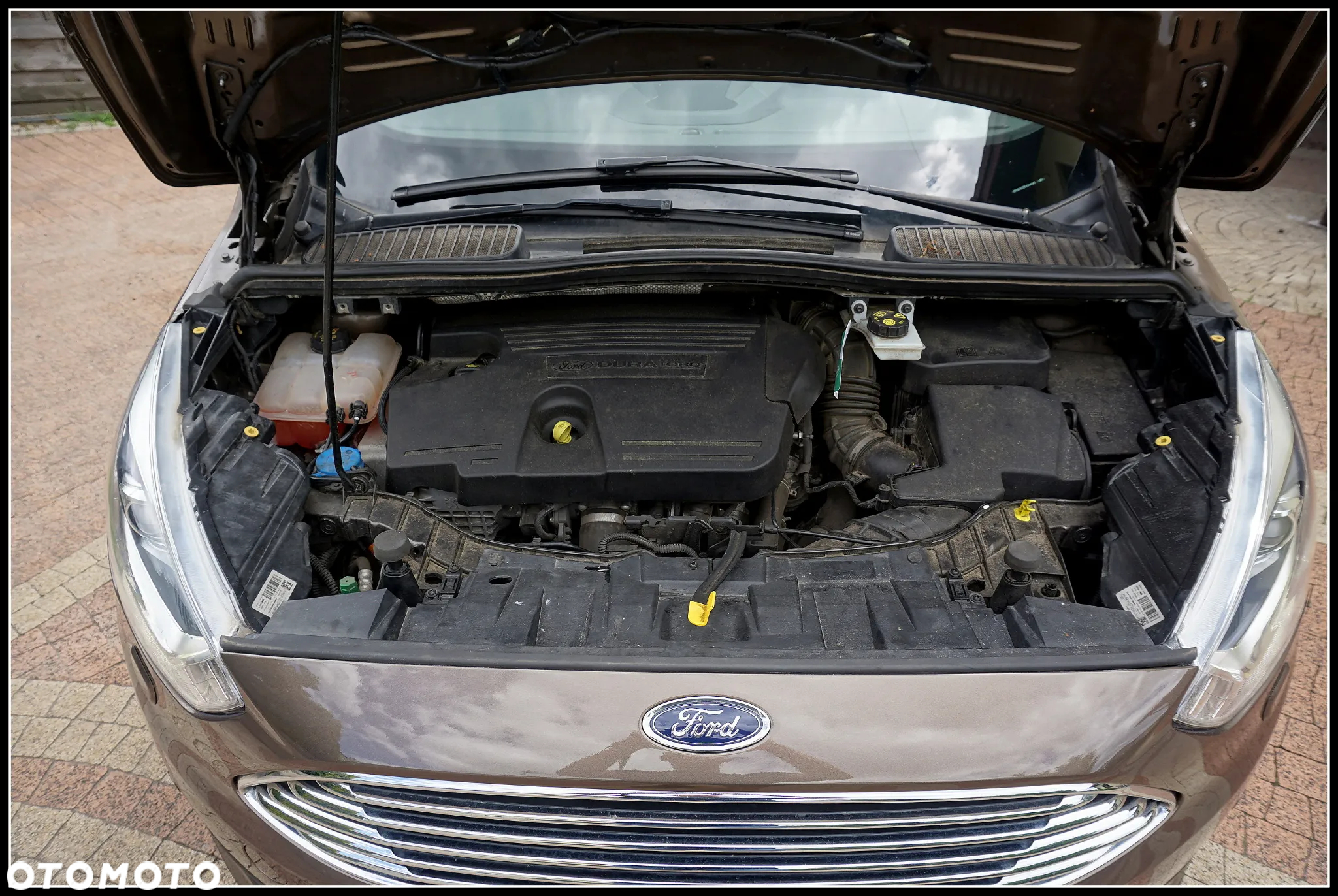 Ford C-MAX 2.0 TDCi Start-Stop-System Titanium - 32