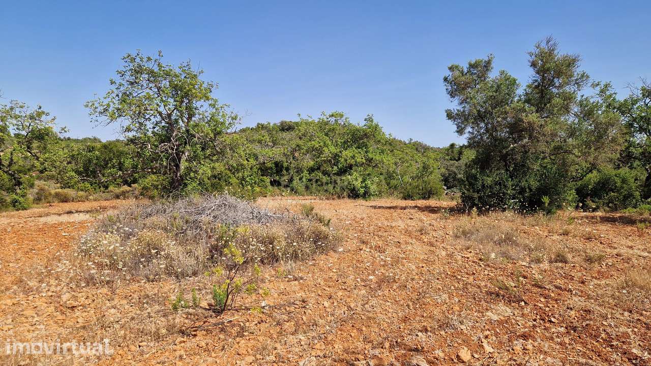 Terreno, 6 000 m², Paderne - Grande imagem: 5/11