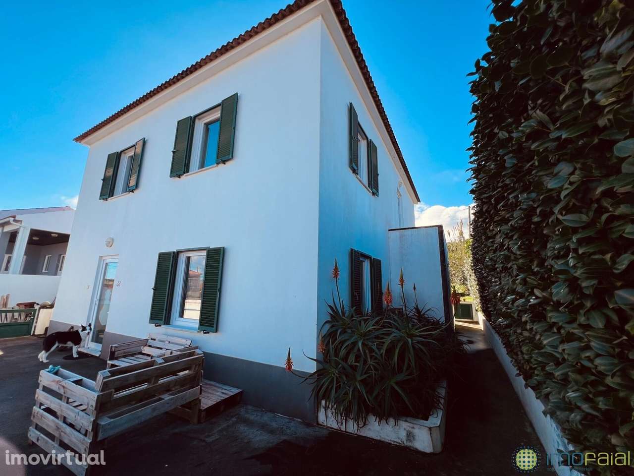 T4|Salão - Grande imagem: 3/41