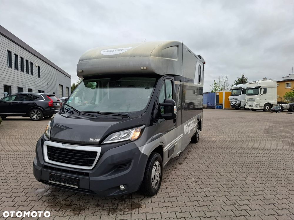 Peugeot BOXER 35, 2.0HDI / koniowóz Hagsted Horses - 2