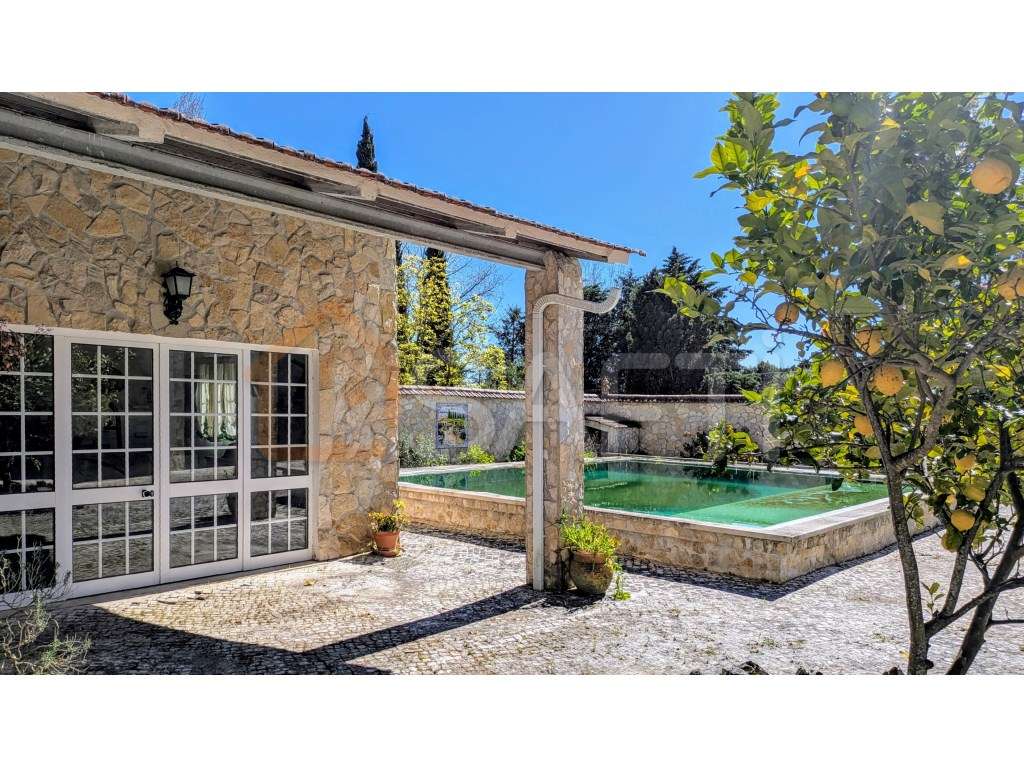 Quinta em Santarém - Grande imagem: 5/47