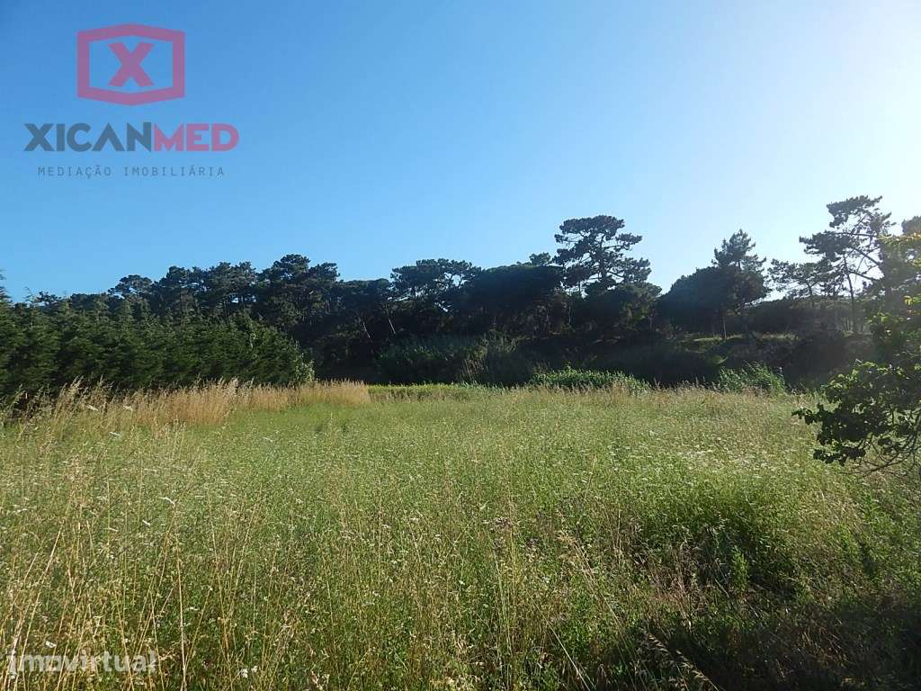 Colares, Terreno Agro florestal - Grande imagem: 4/7