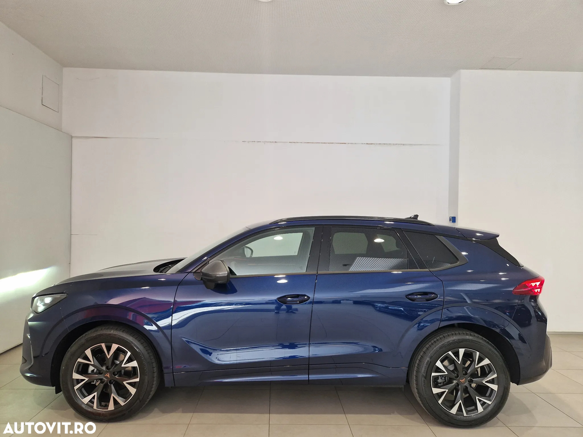 Cupra Terramar - 2
