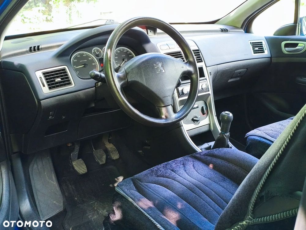 Peugeot 307 1.6 XS - 13