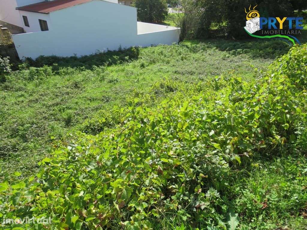 Lote para construção situado em Cernache do Bonjardim - Grande imagem: 3/4