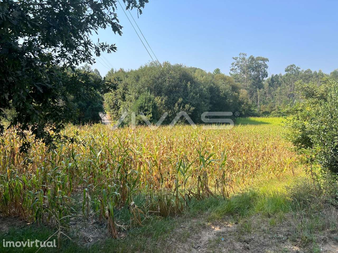 Terreno Rústico  Venda em Oleiros,Vila Verde - Grande imagem: 2/5