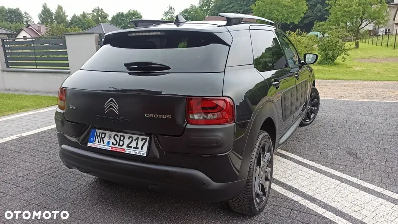 Citroën C4 Cactus 1.2 PureTech Feel S&S - 19