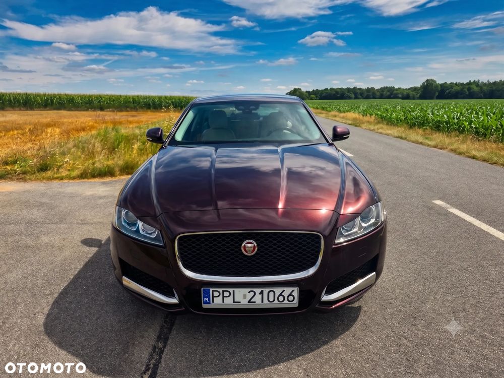 Jaguar XF 2.0 T Prestige - 6