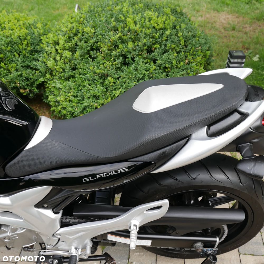 Suzuki Gladius - 13