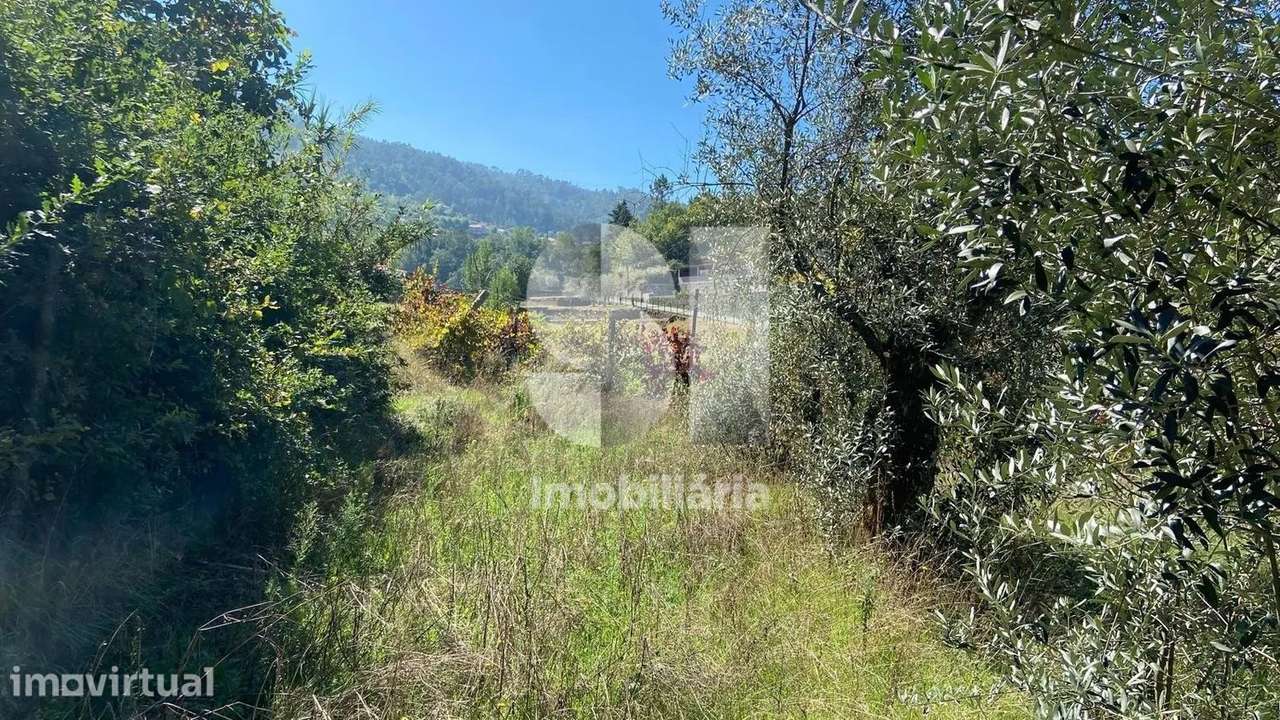 TERRENO PARA CONSTRUÇÃO EM FIGUEIREDO - AROUCA - Grande imagem: 2/4