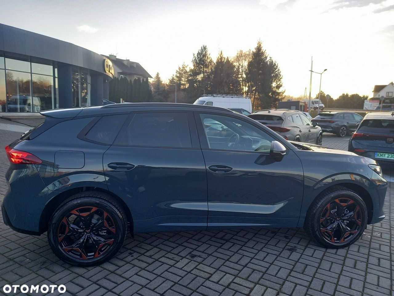 Cupra Terramar - 8