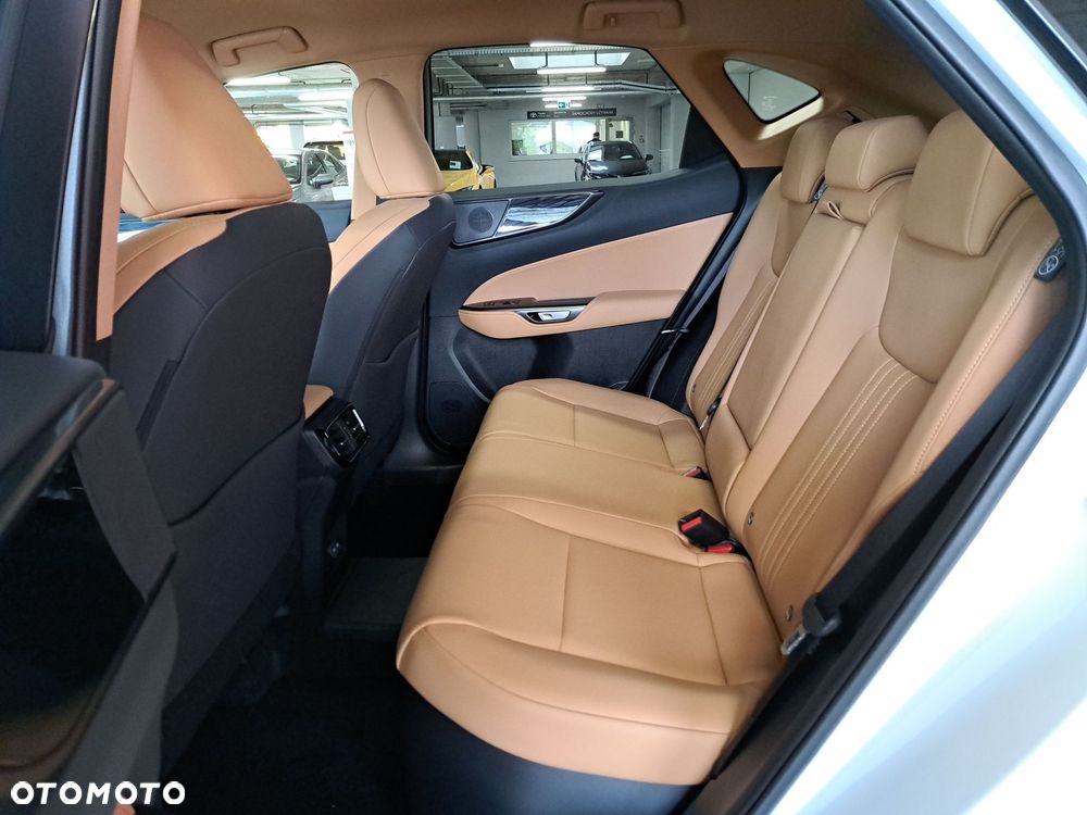 Lexus NX - 13