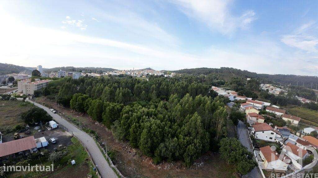 Terreno Agrícola em Valongo - Grande imagem: 4/6