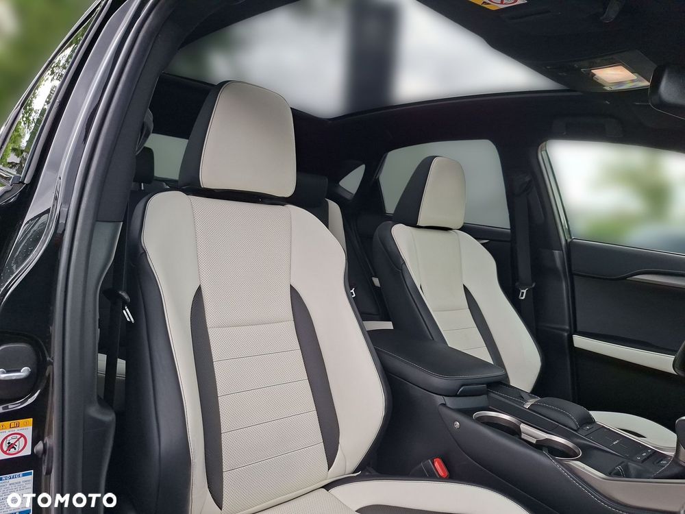 Lexus NX 300 GPF F Sport AWD - 18