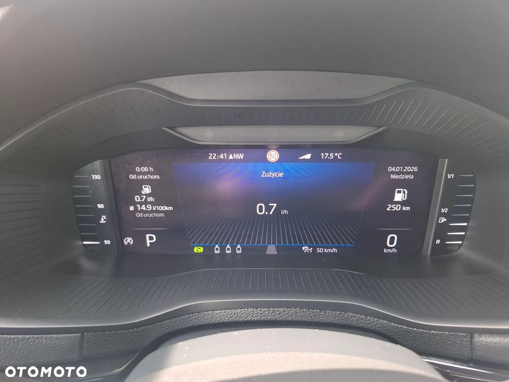 Skoda Karoq 2.0 TDI SCR 4x4 DSG Sportline - 30