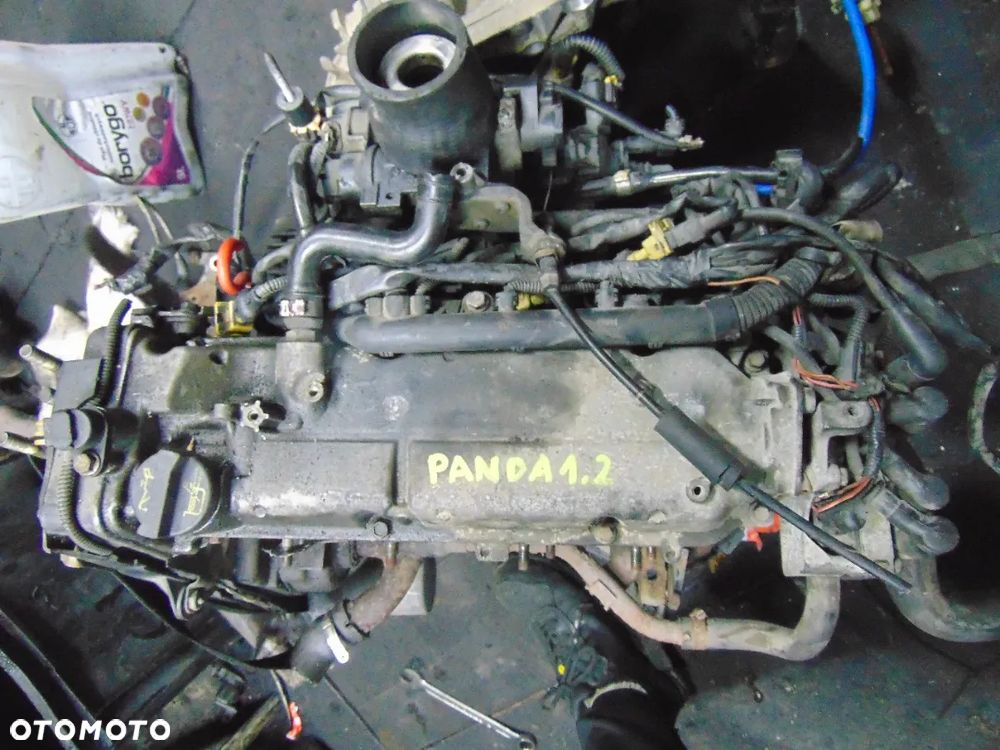 Silnik Fiat Panda 2 1,2 8v - 1