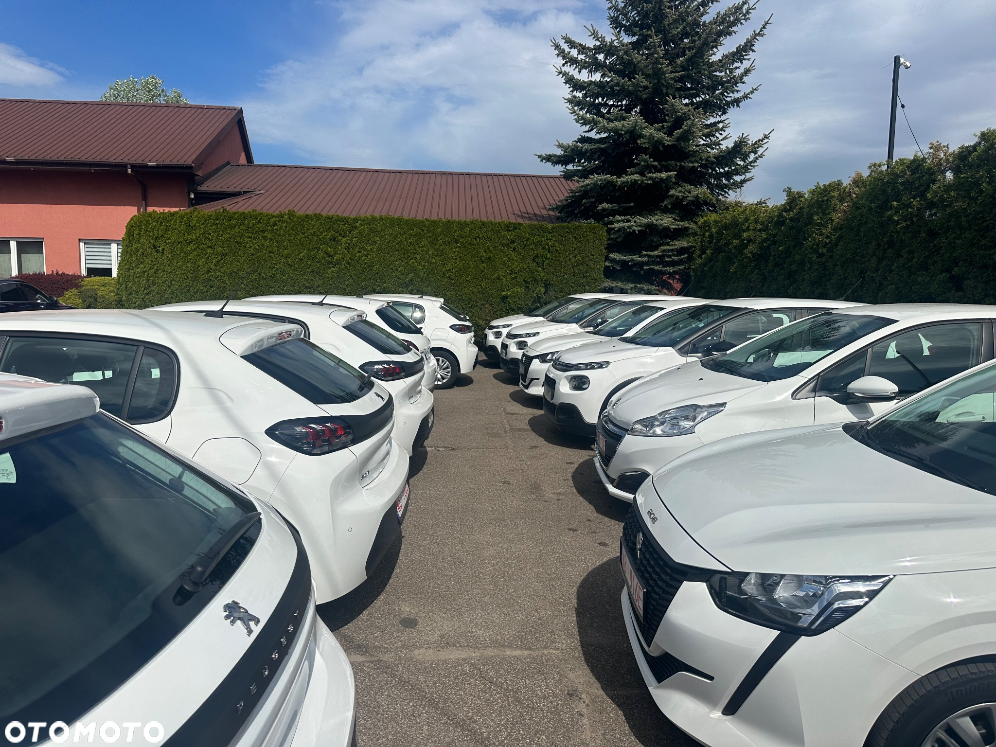 Citroën C3 1.2 PureTech Feel - 18