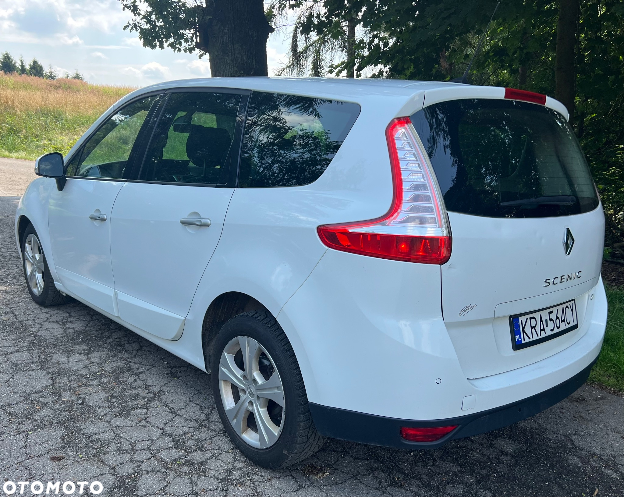 Renault Grand Scenic 1.9 dCi FAP Privilege - 5