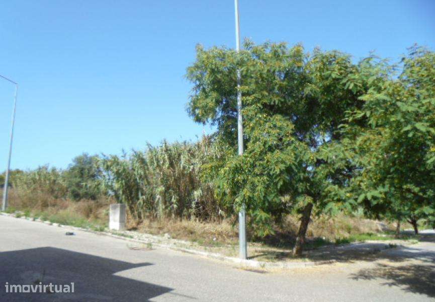 Terreno com Loteamento Aprovado para 38 Fogos na Figueira da Foz - Grande imagem: 5/7