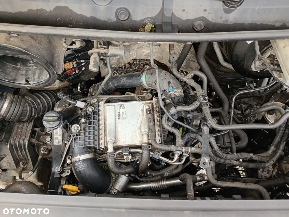Volkswagen Crafter Maxi - 29