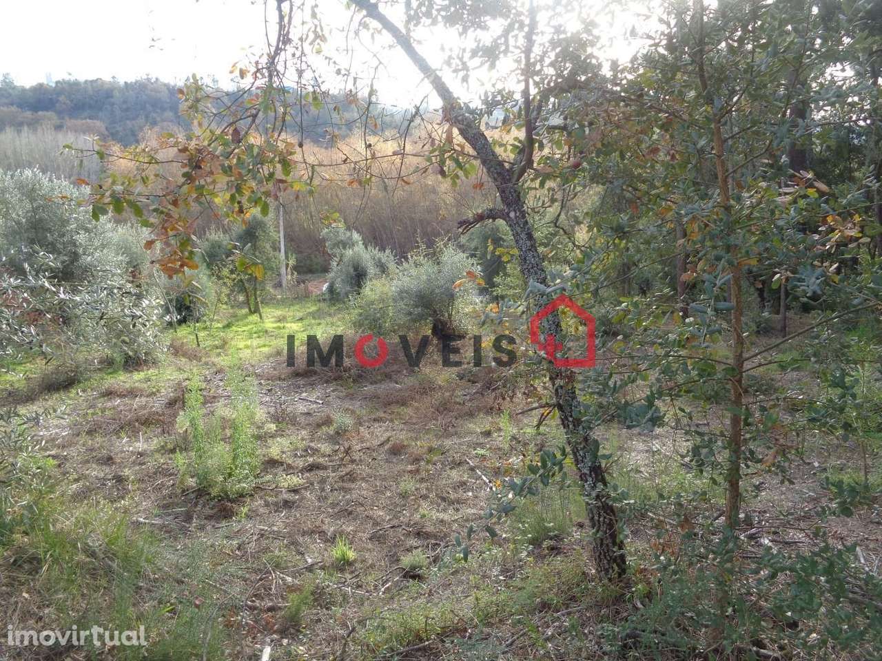 Terreno para Construção - Grande imagem: 3/5