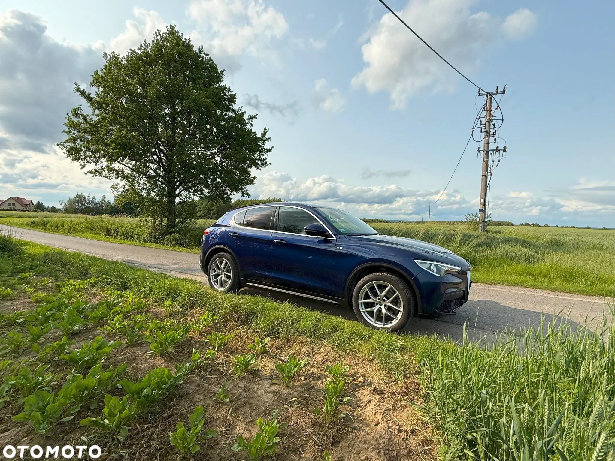 Alfa Romeo Stelvio 2.0 Turbo First Edition Q4 - 18