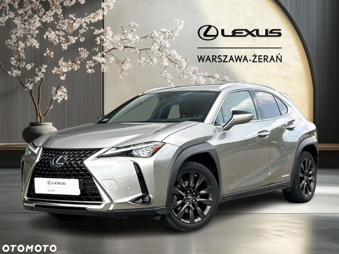 Lexus UX - 2