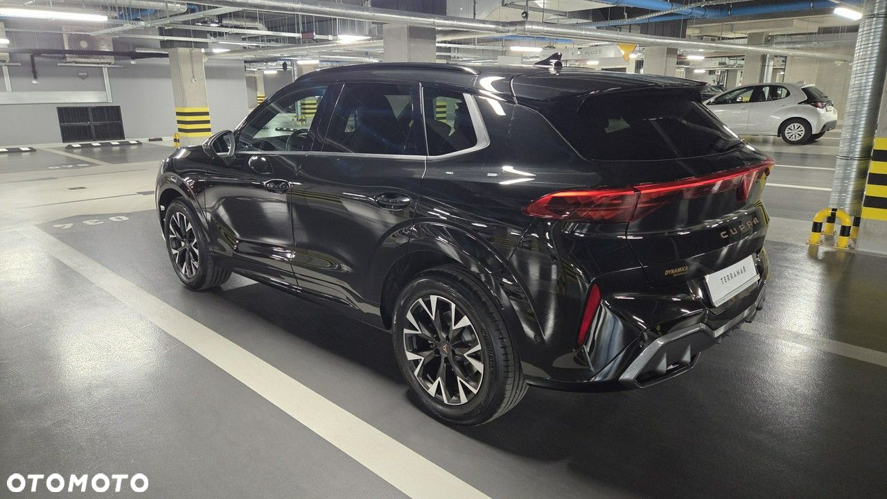 Cupra Terramar - 5