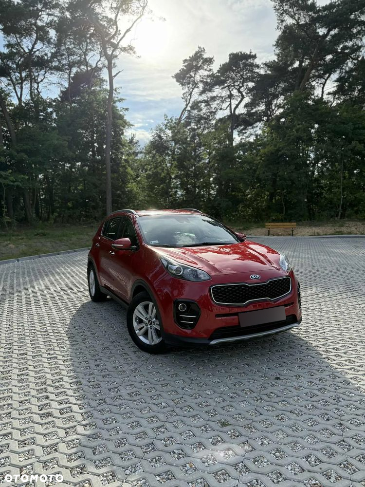 Kia Sportage 1.6 T-GDI Business Line 4WD DCT - 9