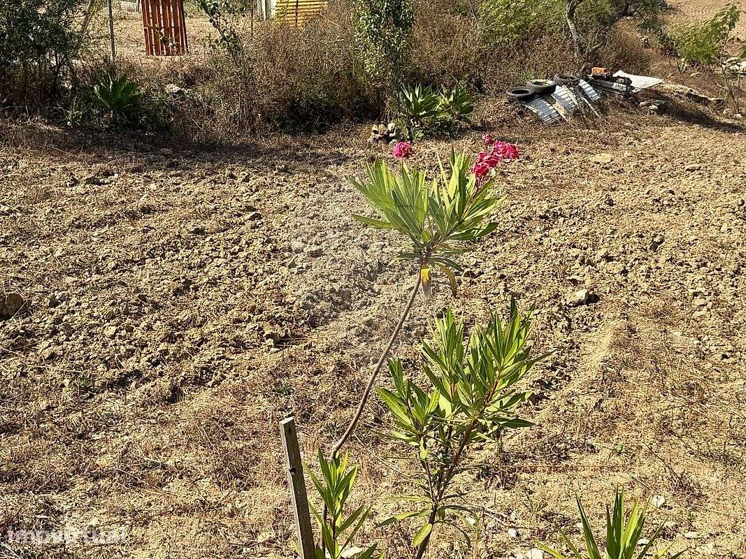 Terreno  para venda - Grande imagem: 5/37