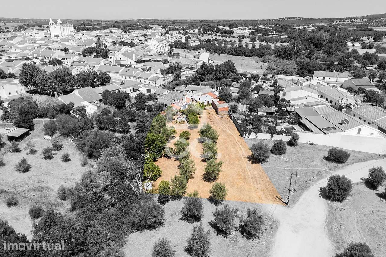 Quintinha de 0,1ha c/ Moradia T1+1 e Anexos Agrícolas em Vila Nova da - Grande imagem: 2/60